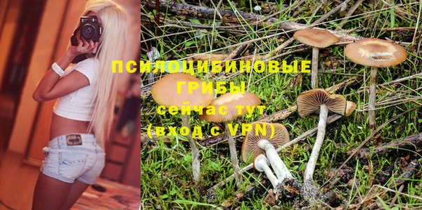 хмурый Сатка