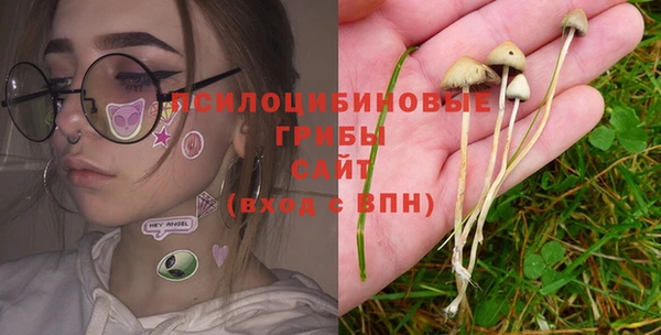 ALPHA-PVP Алексин